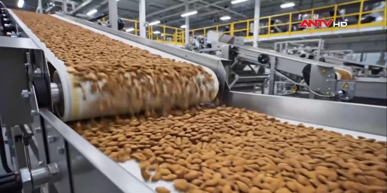 Nỗ lực phát triển nghề trồng hạnh nhân ở Pháp