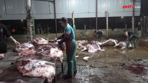 Chậm xử lý lò mổ trái phép