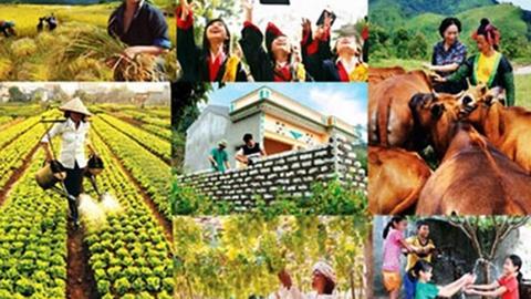 Kinh tế tiêu dùng ngày 13/12/2025