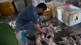 Khởi tố loạt cơ sở giết mổ, tiêu thụ lợn dịch bệnh