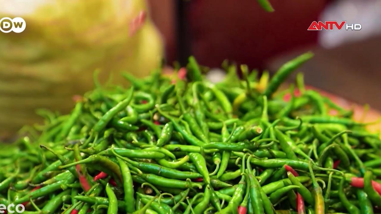 Giải pháp bảo quản nông sản nhờ năng lượng sạch ở Ấn Độ