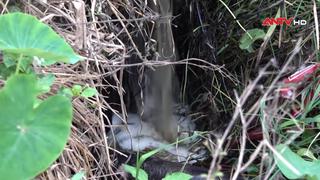 Xử phạt hơn cơ sở sơ chế cà phê xả thải ra môi trường