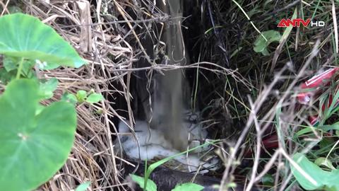 Xử phạt hơn cơ sở sơ chế cà phê xả thải ra môi trường