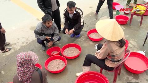 Nhộn nhịp chợ rươi ven đê sông Lam