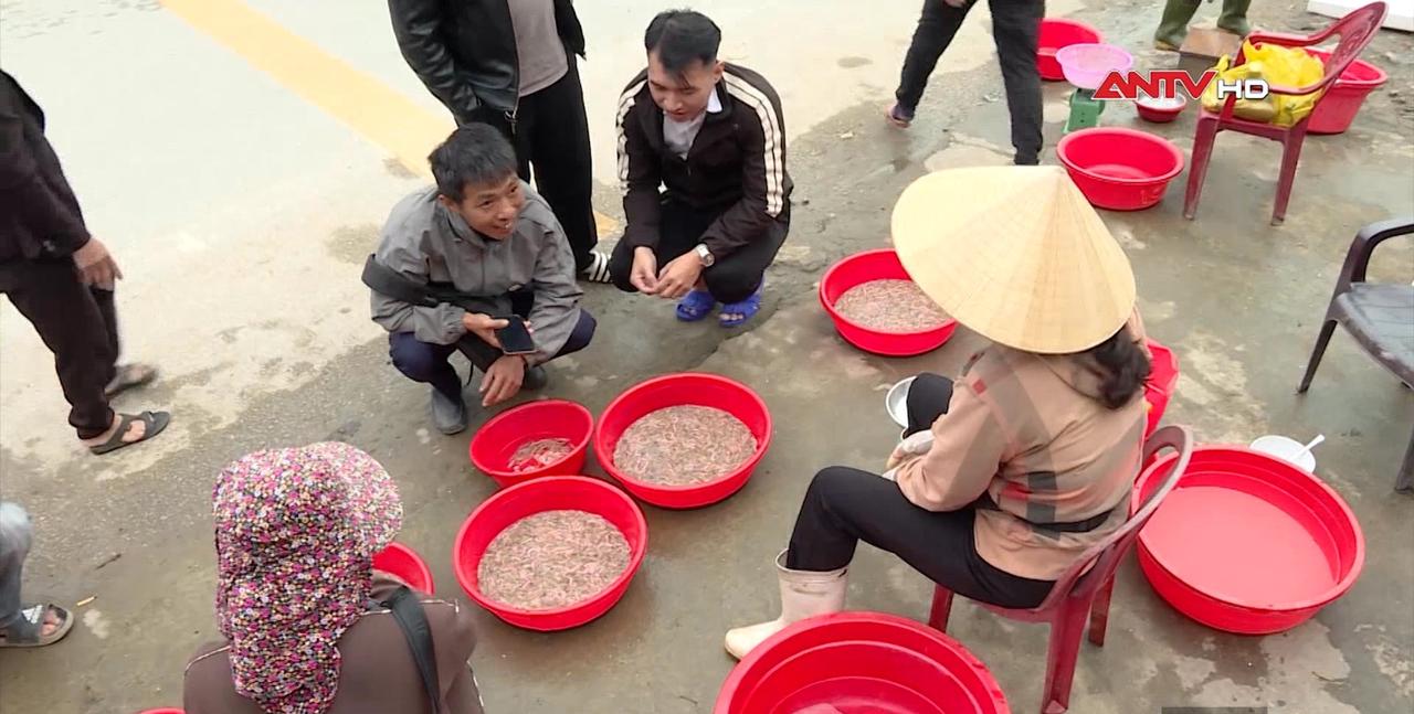 Nhộn nhịp chợ rươi ven đê sông Lam