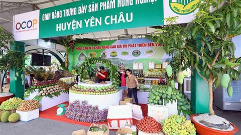 Festival Ocop Việt Nam –Thúc đẩy phát triển kinh tế nông thôn