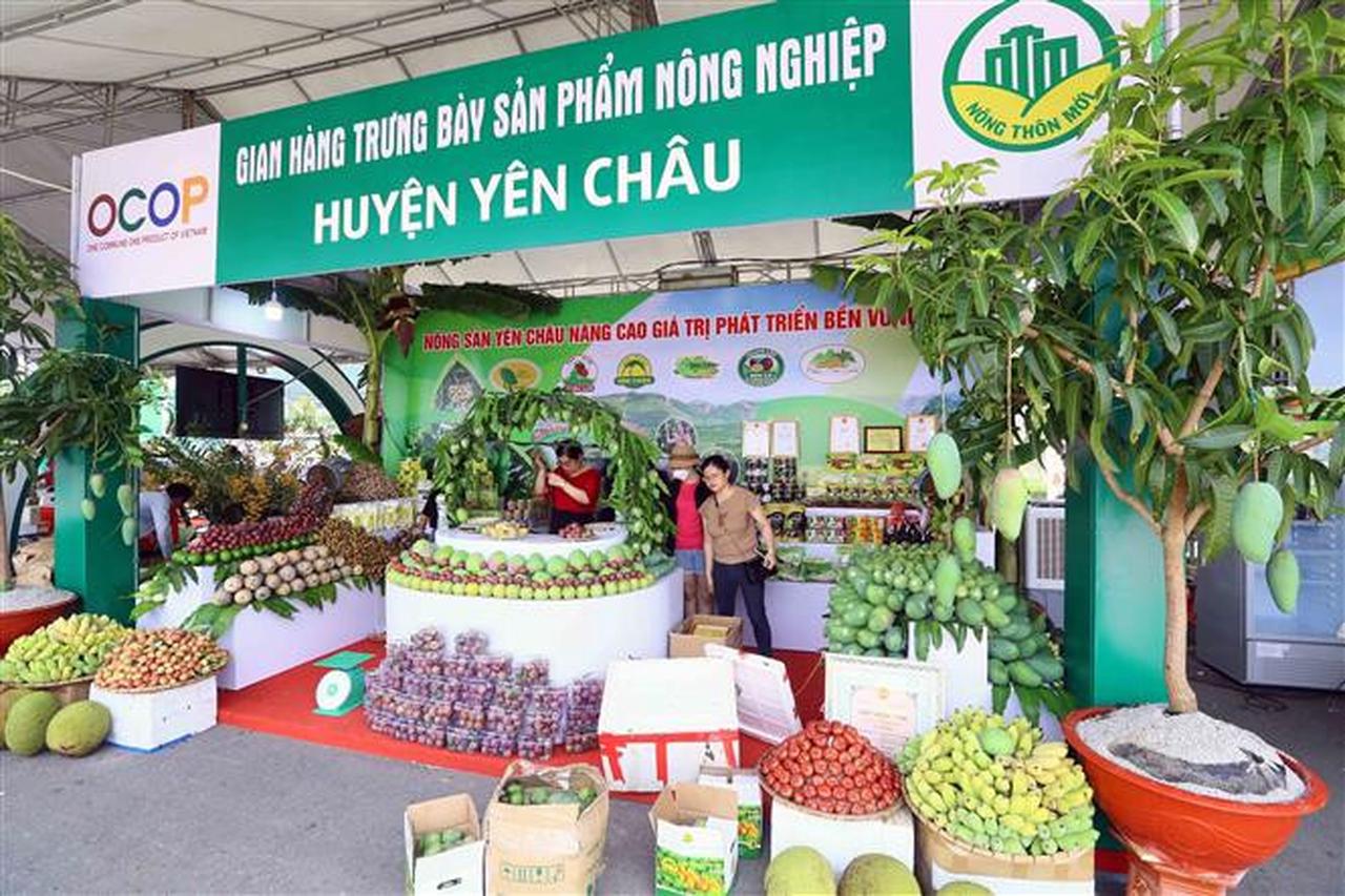 Festival Ocop Việt Nam –Thúc đẩy phát triển kinh tế nông thôn