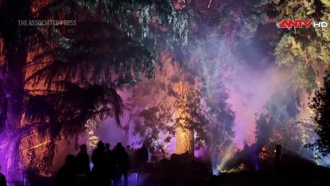 Người xem say mê với màn trình diễn ánh sáng kỳ ảo 