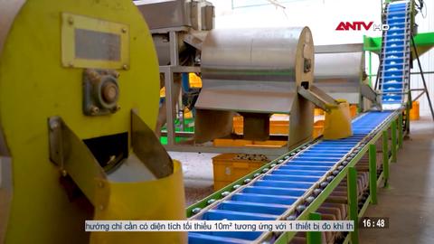 Kinh tế tiêu dùng ngày 26/12/2025