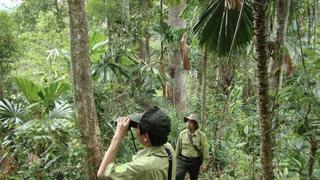 Nâng cao hiệu quả trong giao khoán bảo vệ rừng