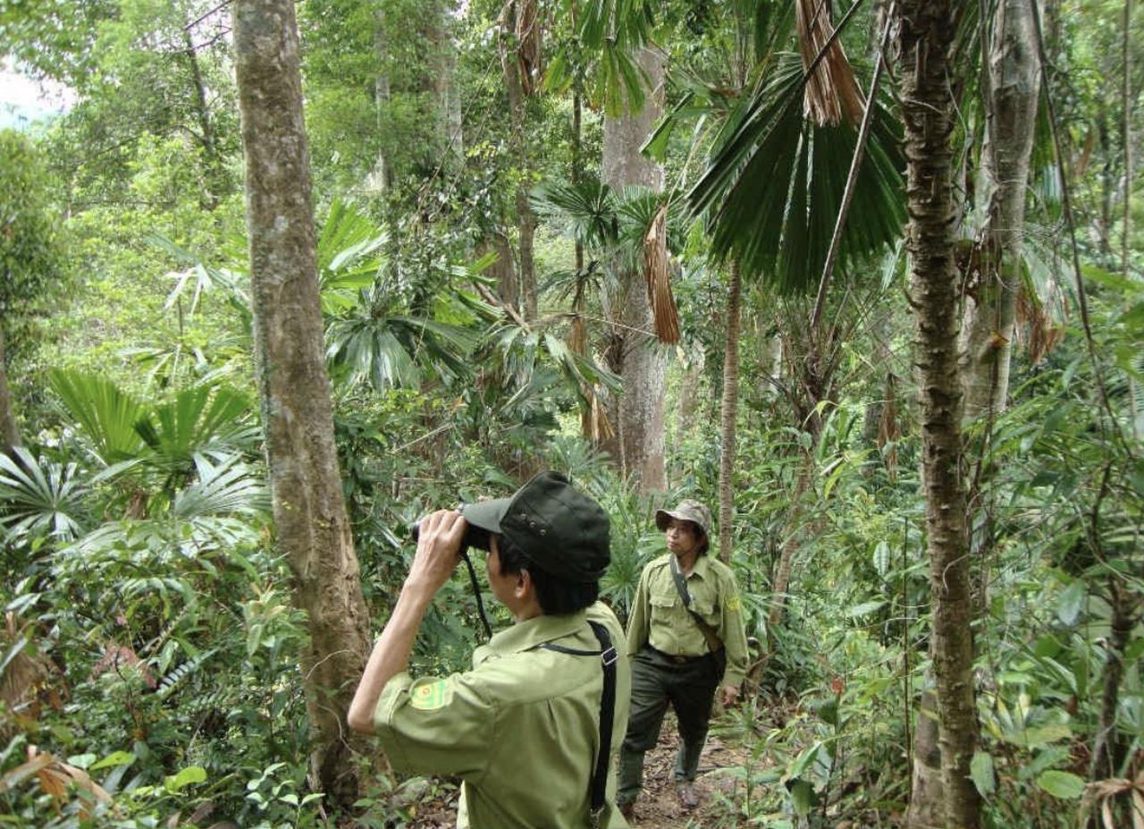 Nâng cao hiệu quả trong giao khoán bảo vệ rừng