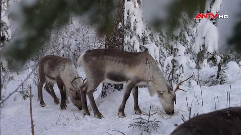 An ninh thế giới ngày 29/12/2025