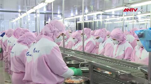 Xuất khẩu 2025 - Điểm sáng của kinh tế Việt Nam 