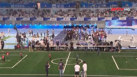 Sự phát triển của Robot AI năm 2025