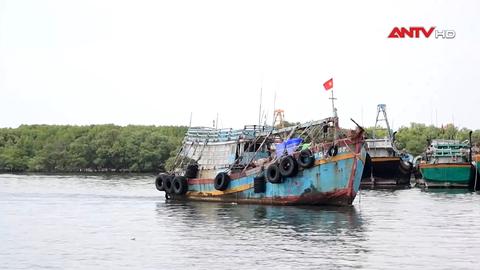 113 Online ngày 31/12/2025 