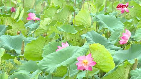 Từ bóng tối đến bình minh