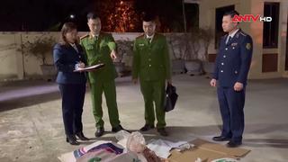 Phát hiện, tiêu hủy nội tạng động vật không rõ nguồn gốc