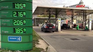 Thị trường dầu năm 2026 dự kiến sẽ dư cung