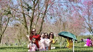 Người dân nô nức tham quan các địa điểm di tích, thắng cảnh