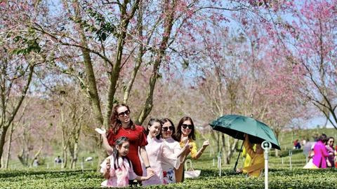 Người dân nô nức tham quan các địa điểm di tích, thắng cảnh