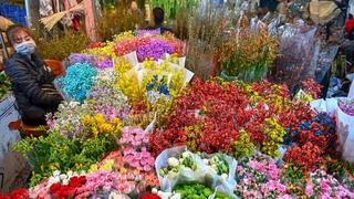 Chợ hoa Hà Nội rộn sắc xuân