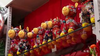 Ngành công nghiệp cưỡi ngựa kỳ vọng bùng nổ trong năm Bính Ngọ