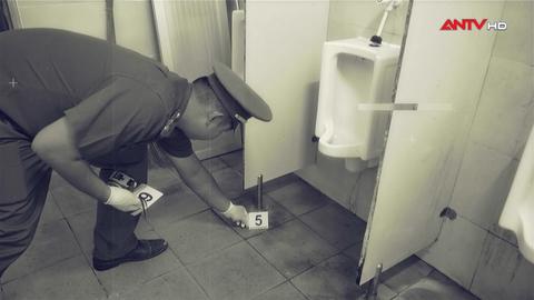 Dấu vết dẫn đường