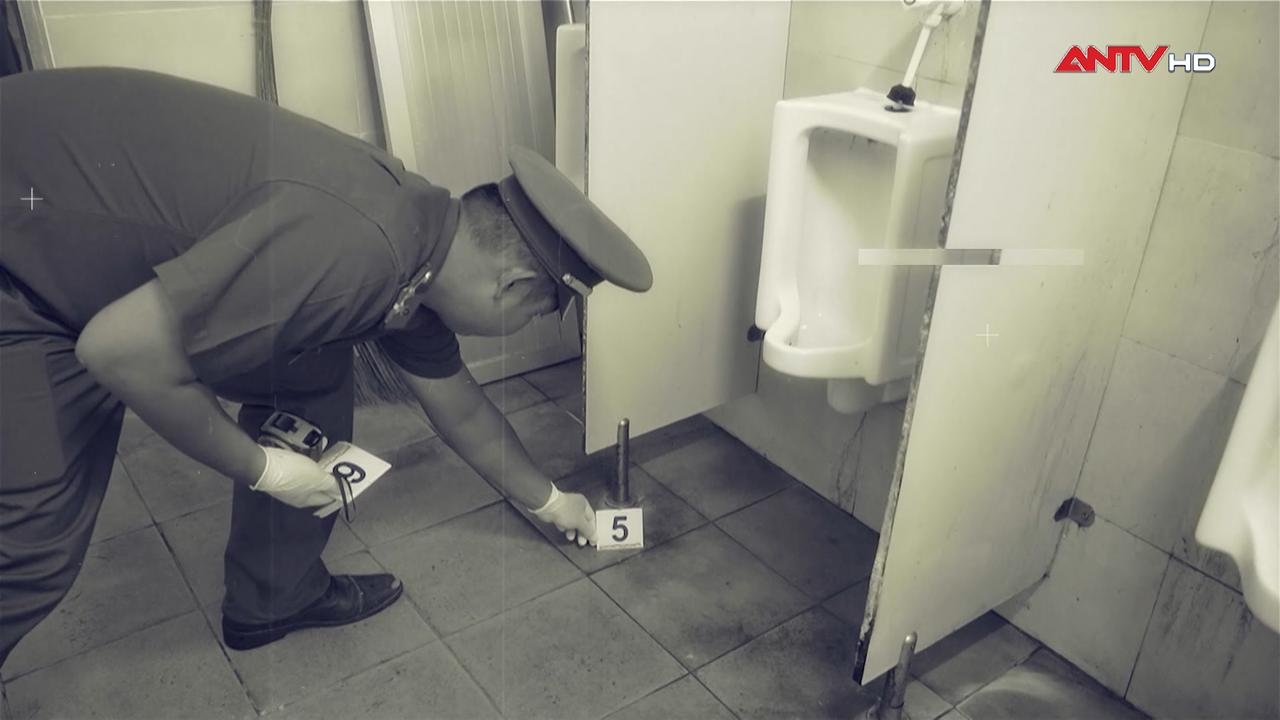 Dấu vết dẫn đường