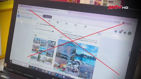 Ma trận tick xanh và cú lừa ngày nghỉ lễ