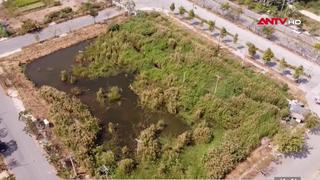 TP.HCM thí điểm chuyển đổi đất nông nghiệp sang đất thương mại