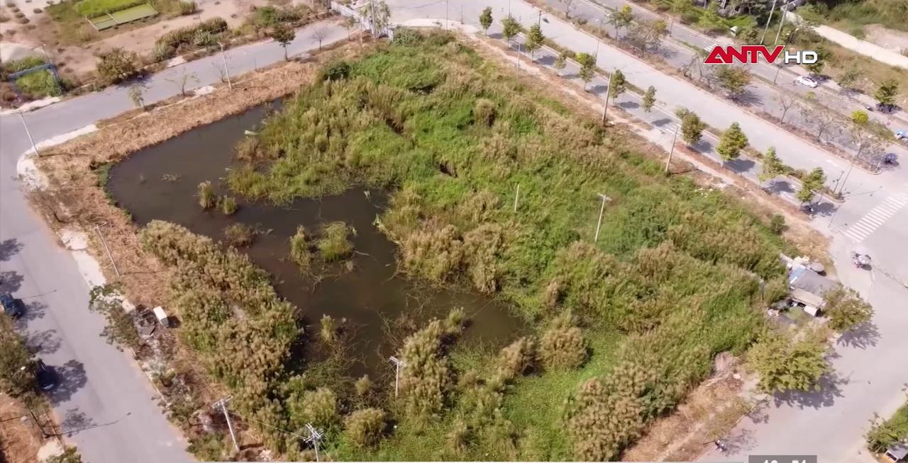 TP.HCM thí điểm chuyển đổi đất nông nghiệp sang đất thương mại