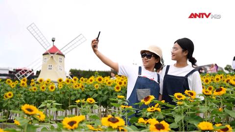 Tết Dương lịch 2026: Ngành du lịch đón khoảng 3,5 triệu lượt khách