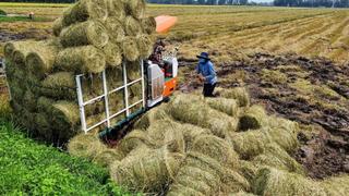 Tái sinh phụ phẩm nông nghiệp thành sản phẩm giá trị cao