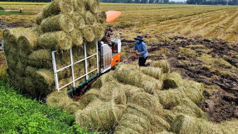 Tái sinh phụ phẩm nông nghiệp thành sản phẩm giá trị cao