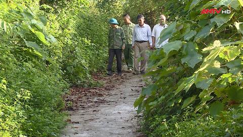 Tìm về cuộc sống bình yên