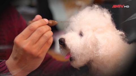 Điêu khắc len - Thổi hồn vào sợi ấm