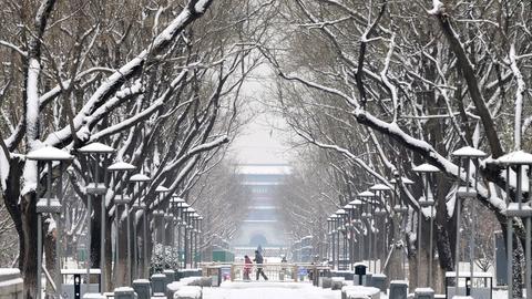 Giá rét bao trùm nhiều khu vực ở châu Âu, 6 người thiệt mạng