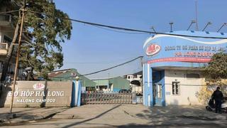 Bắt Tổng giám đốc Công ty cổ phần đồ hộp Hạ Long cùng 3 nhân viên