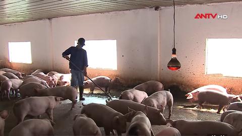 Kinh tế tiêu dùng ngày 11/01/2026