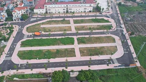 Lập lại trật tự trong hoạt động đấu giá đất