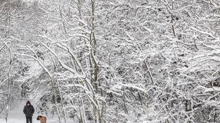 Băng giá cực đoan tiếp tục xáo trộn cuộc sống tại châu Âu