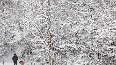 Băng giá cực đoan tiếp tục xáo trộn cuộc sống tại châu Âu
