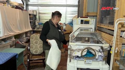 Tái sử dụng thiết bị y tế hỗ trợ động vật ở Australia