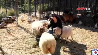 Vườn thú di động mang lại hy vọng sau thảm họa cháy rừng