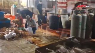 Kiểm tra, xử lý 2 cơ sở giết mổ động vật không giấy phép