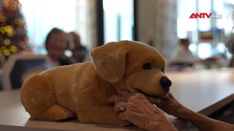 Chó robot đồng hành với người cao tuổi