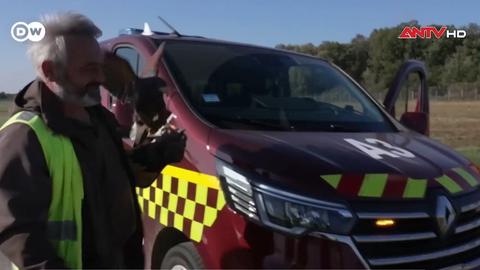 Huấn luyện chim săn mồi để đảm bảo an toàn hàng không