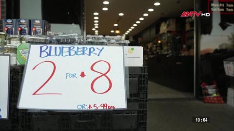 An ninh thế giới ngày 19/01/2026