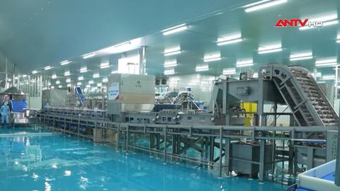 Doanh nghiệp thủy sản xây dựng chiến lược tăng trưởng dài hạn