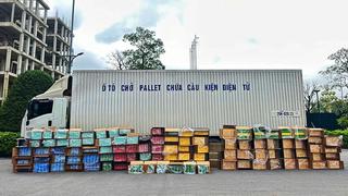 Truy đuổi xe tải chở số lượng lớn thuốc lá lậu tại Quảng Trị